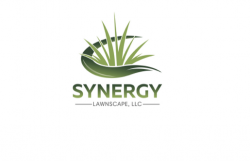 Synergy