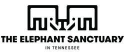 The Elephant Sanctuary in Tennessee